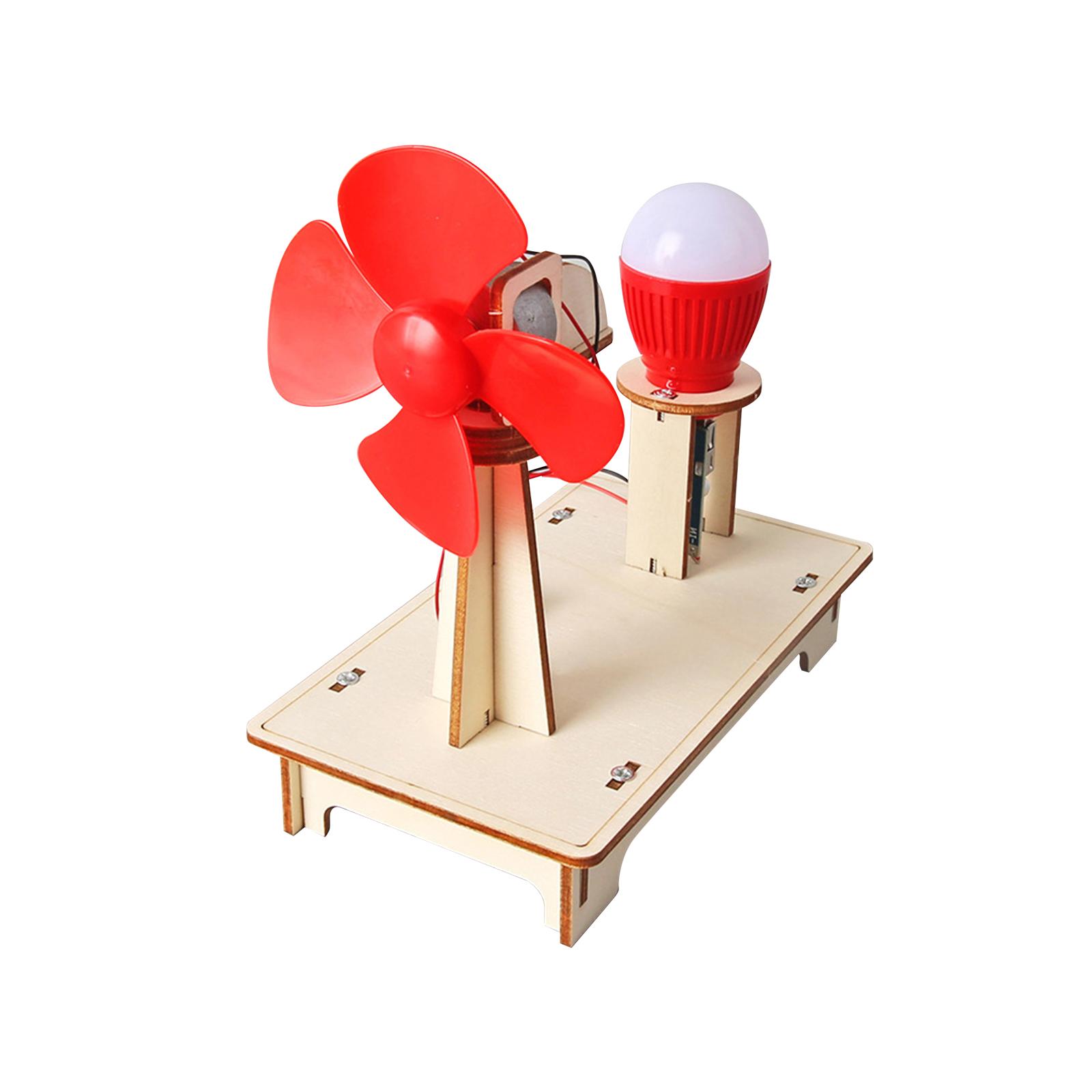 Science Kit - 8~12세 어린이를 위한 과학 키트, 나무